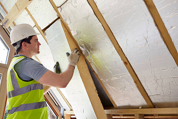 Best Types of Insulation in Ko Olina, HI